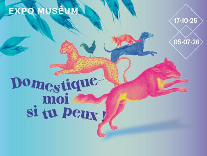 Tame me if you can !