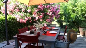 A table in a garden under a sunshade