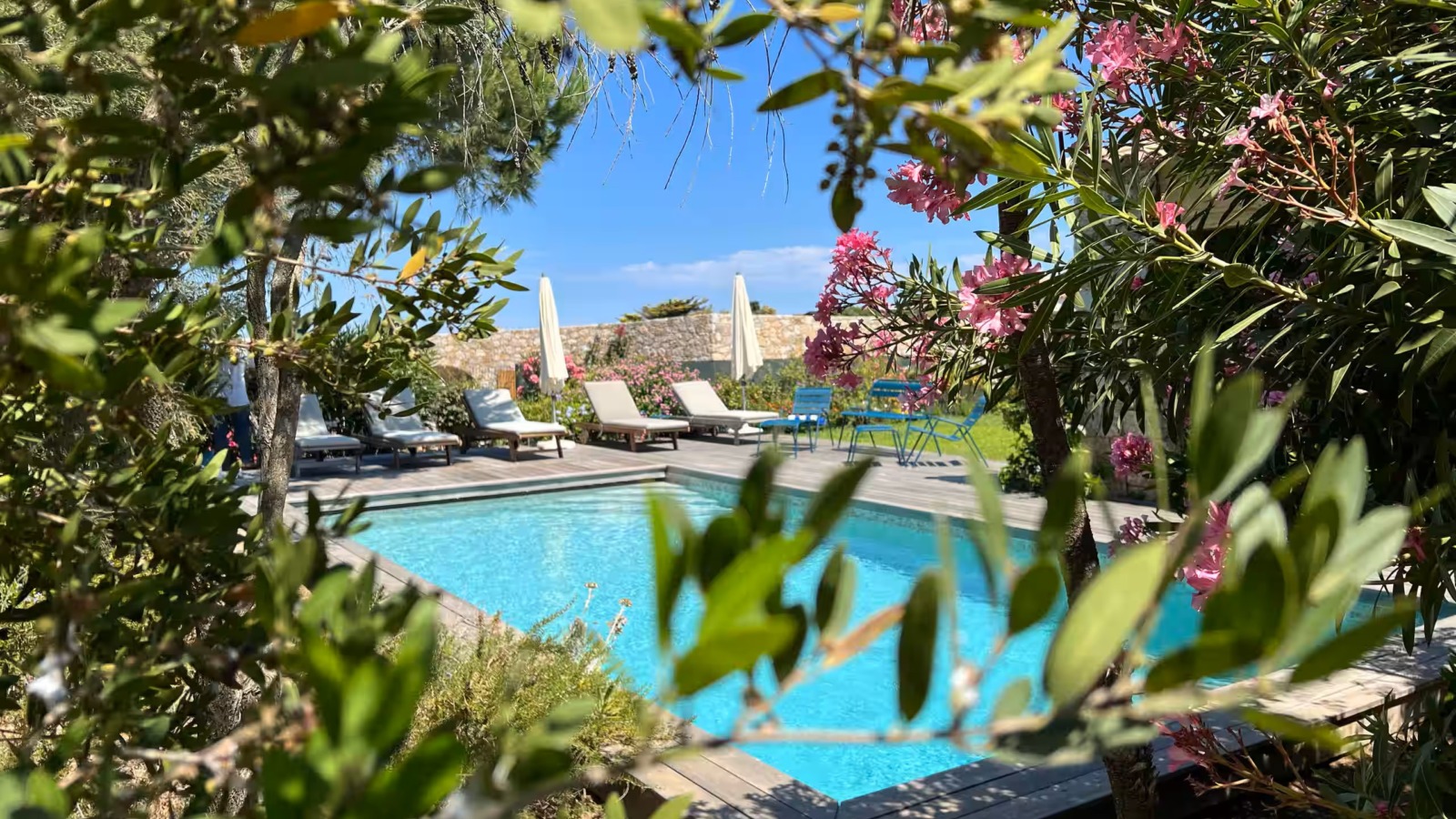 Une piscine, des transat, des parasols, des plantes, des fleurs