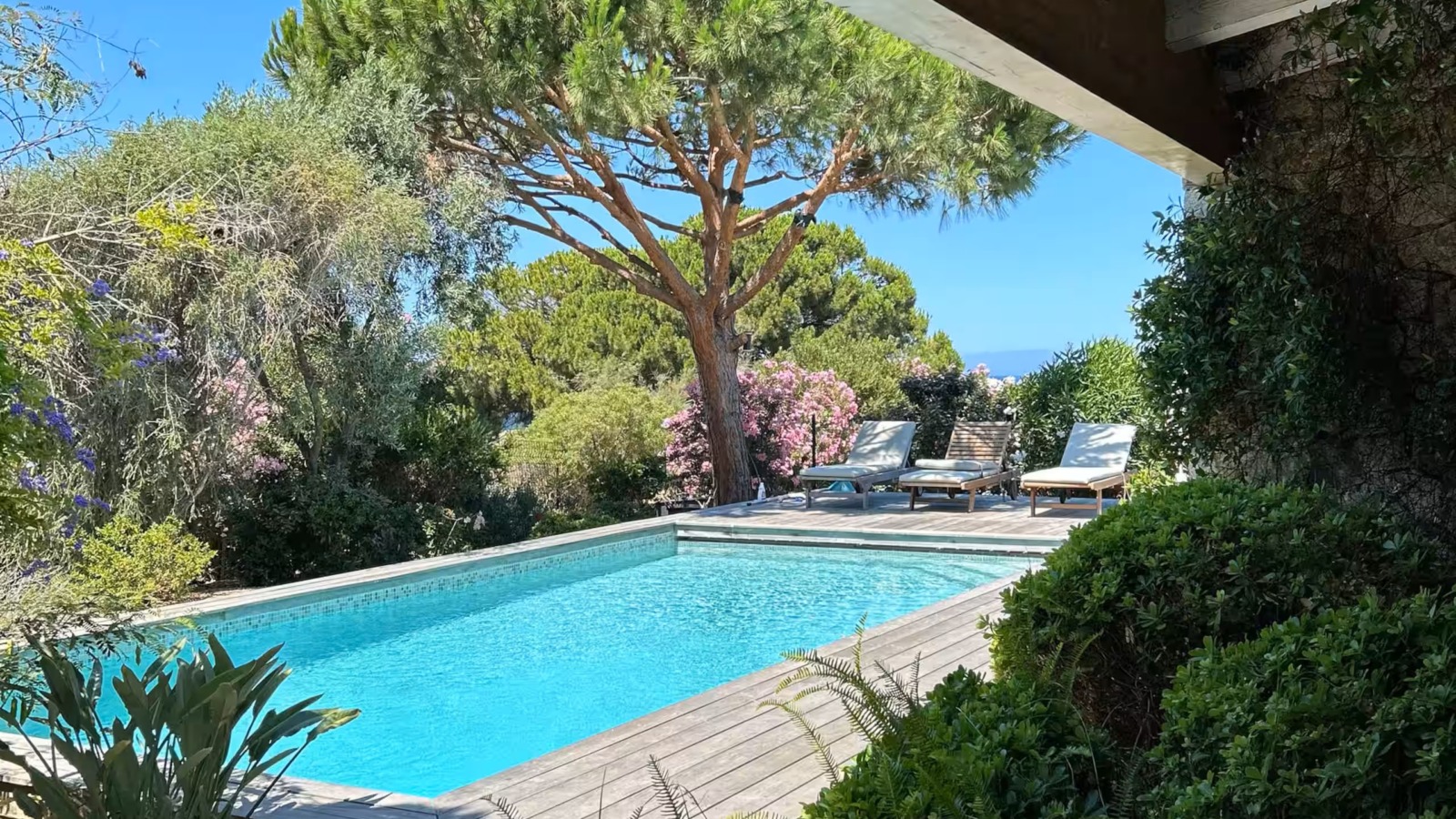 Une piscine, des transat, des arbres. A l'horizon, la mer