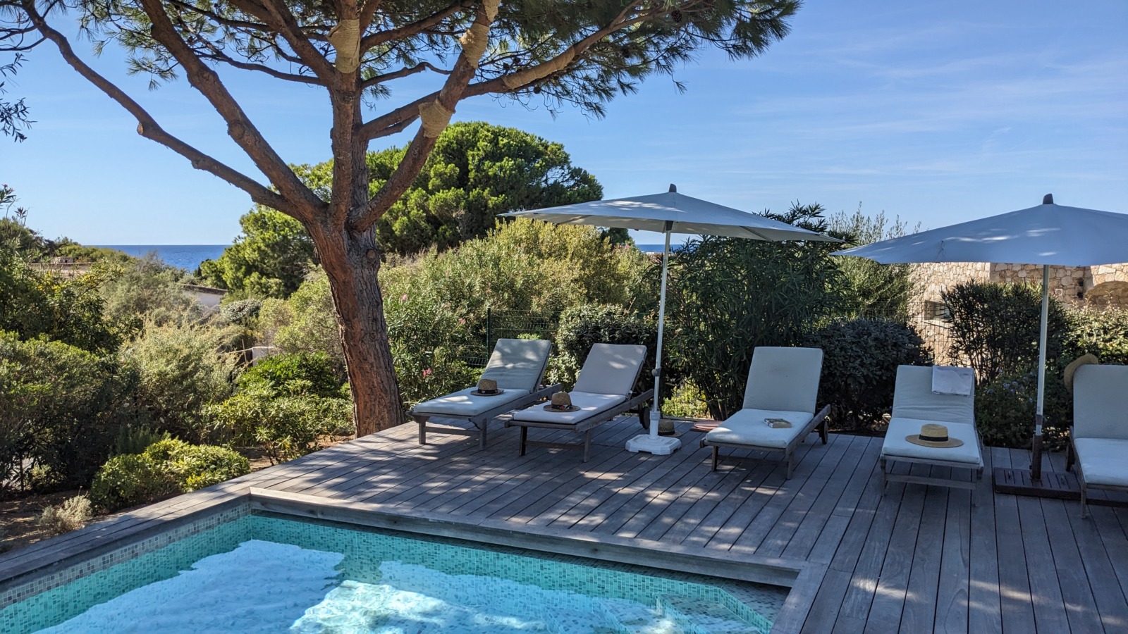 Une piscine, des transat, des parasols, des plantes, des fleurs